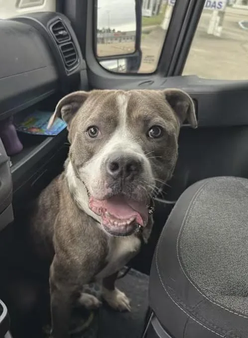 Big Shot : Your thumbnail 2