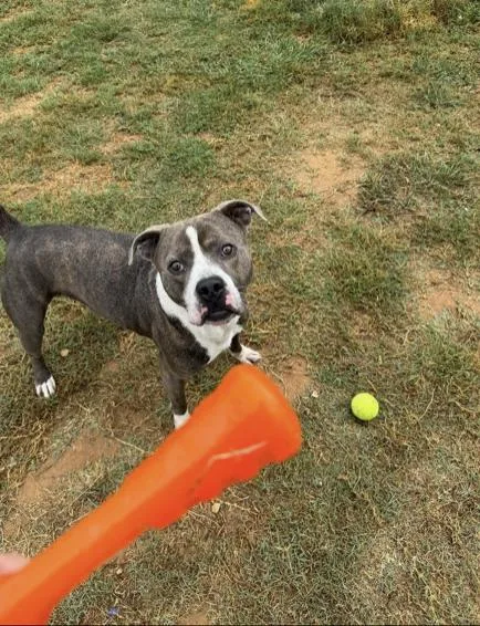 Big Shot : Your thumbnail 3