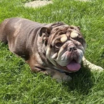 Bubbadoo thumbnail 5