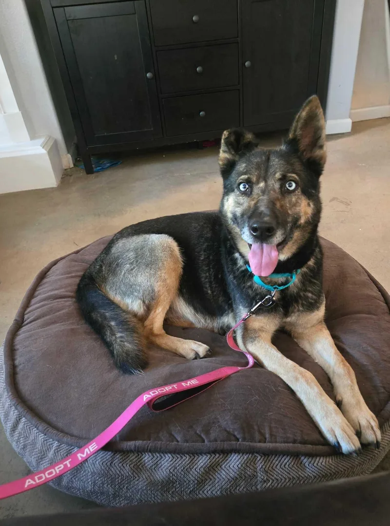 Nina