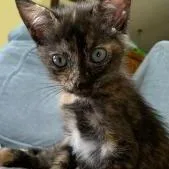 Maggie thumbnail 5