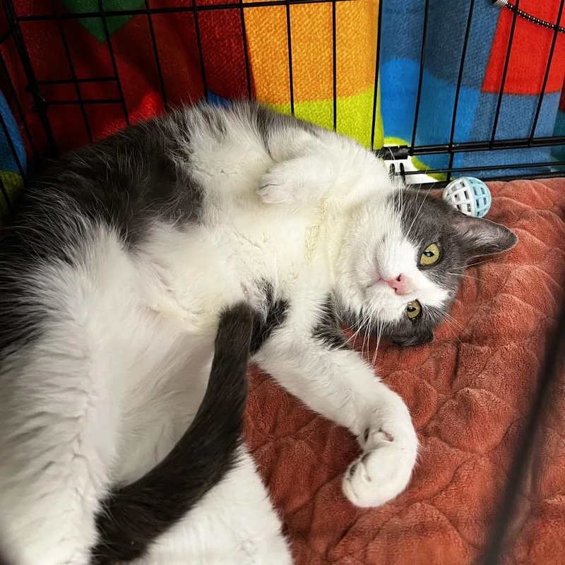 Precious thumbnail 2