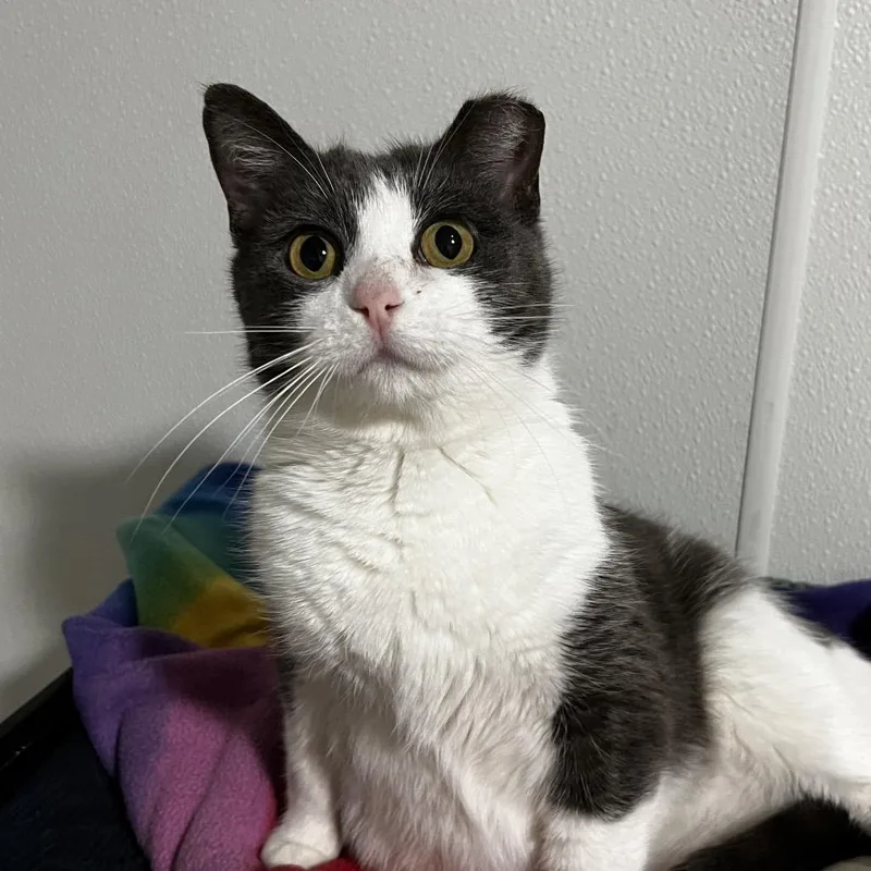 Precious thumbnail 5