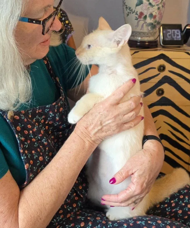 Garnette thumbnail 2