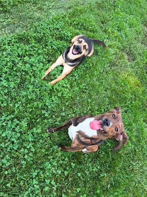 Maggie And Bart thumbnail 2