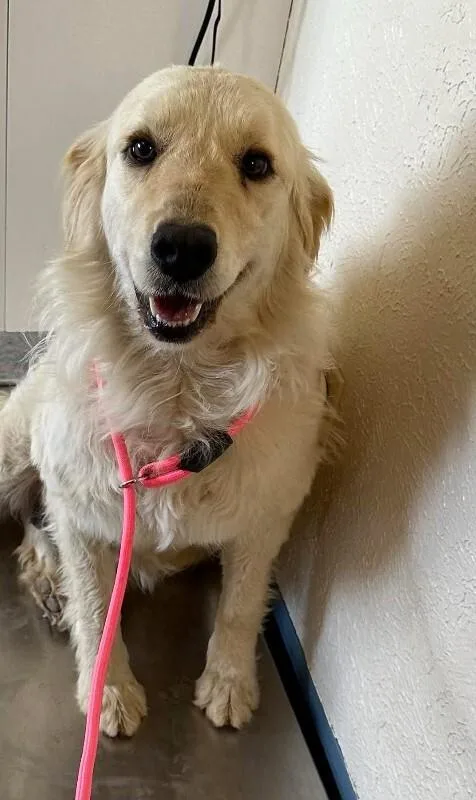 Zucarello thumbnail 6