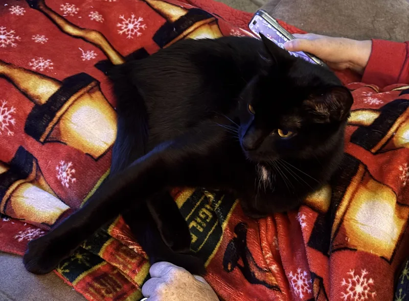 Smokey & Church thumbnail 2