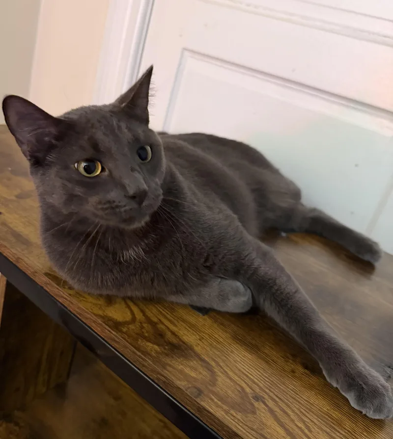 Smokey & Church thumbnail 3