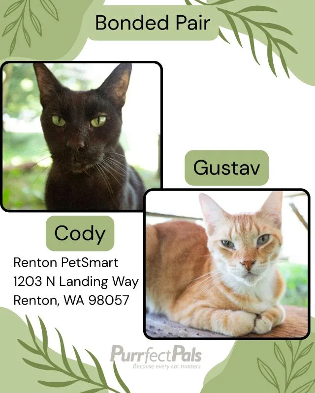 Gustav thumbnail 6