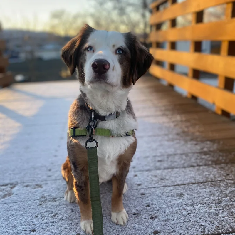 Maserati thumbnail 2