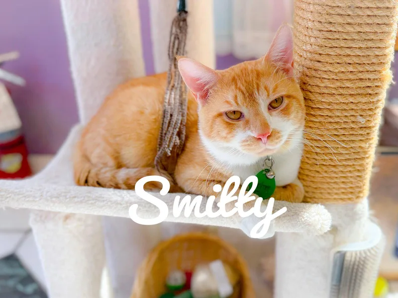 Smitty