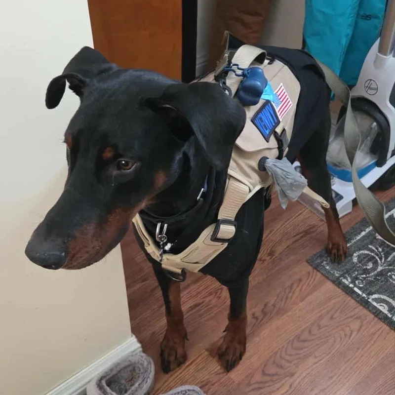 Kenny Courtesy Listing