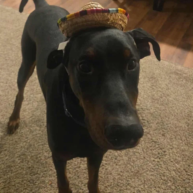 Kenny Courtesy Listing thumbnail 3