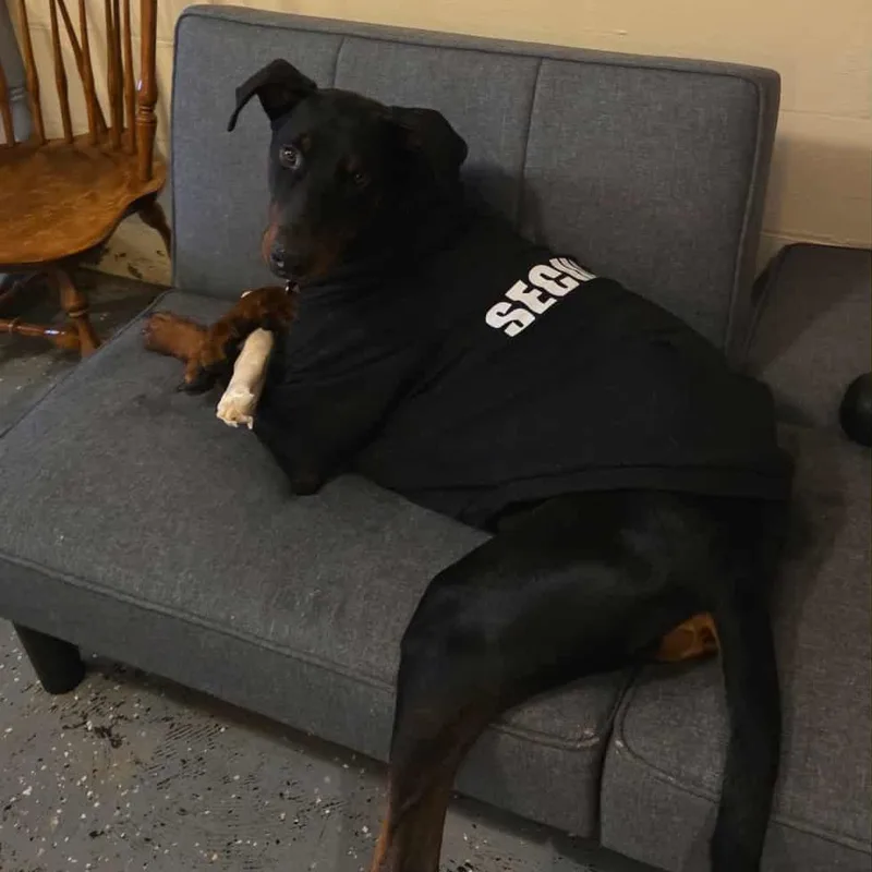 Kenny Courtesy Listing thumbnail 5