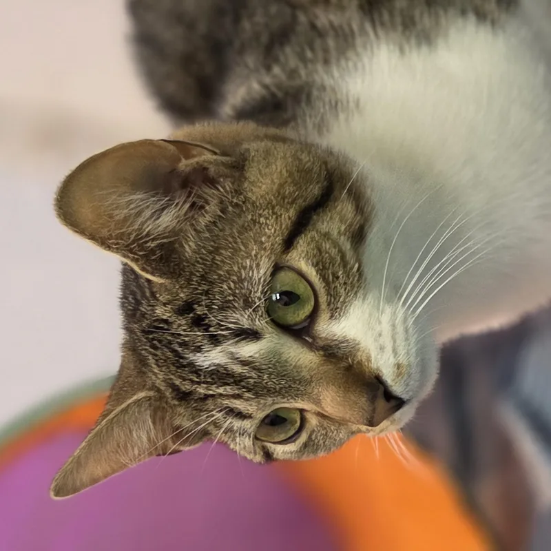 Michelle thumbnail 3