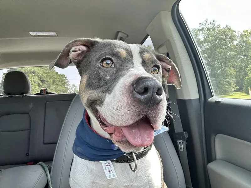 Dragon A 🇨🇦 💜