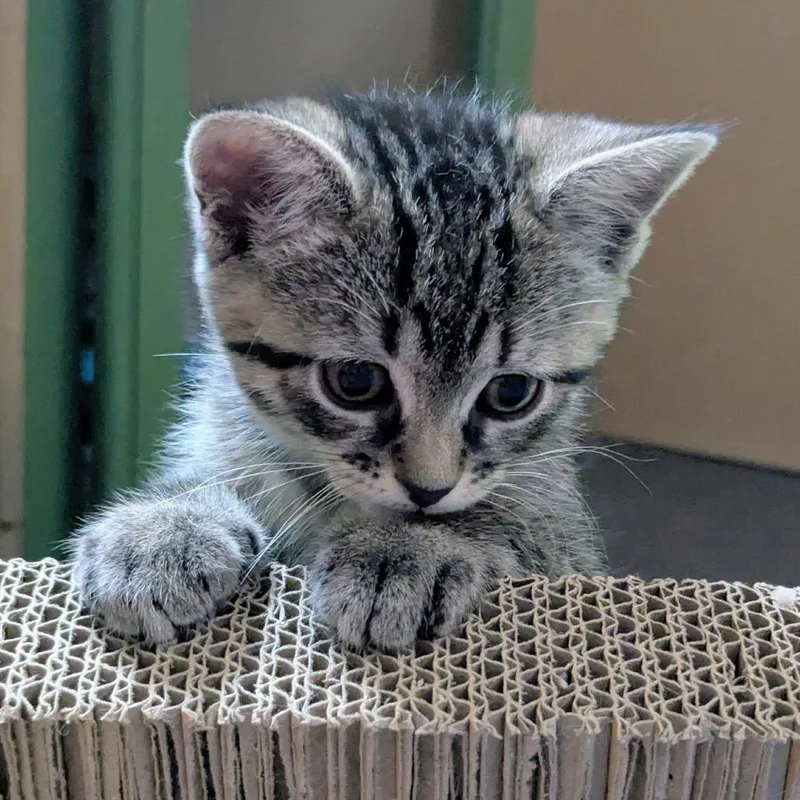 Winnie thumbnail 2
