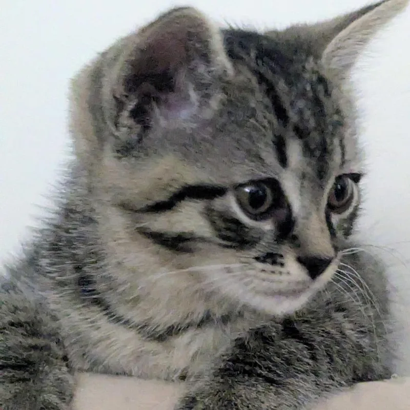 Winnie thumbnail 4