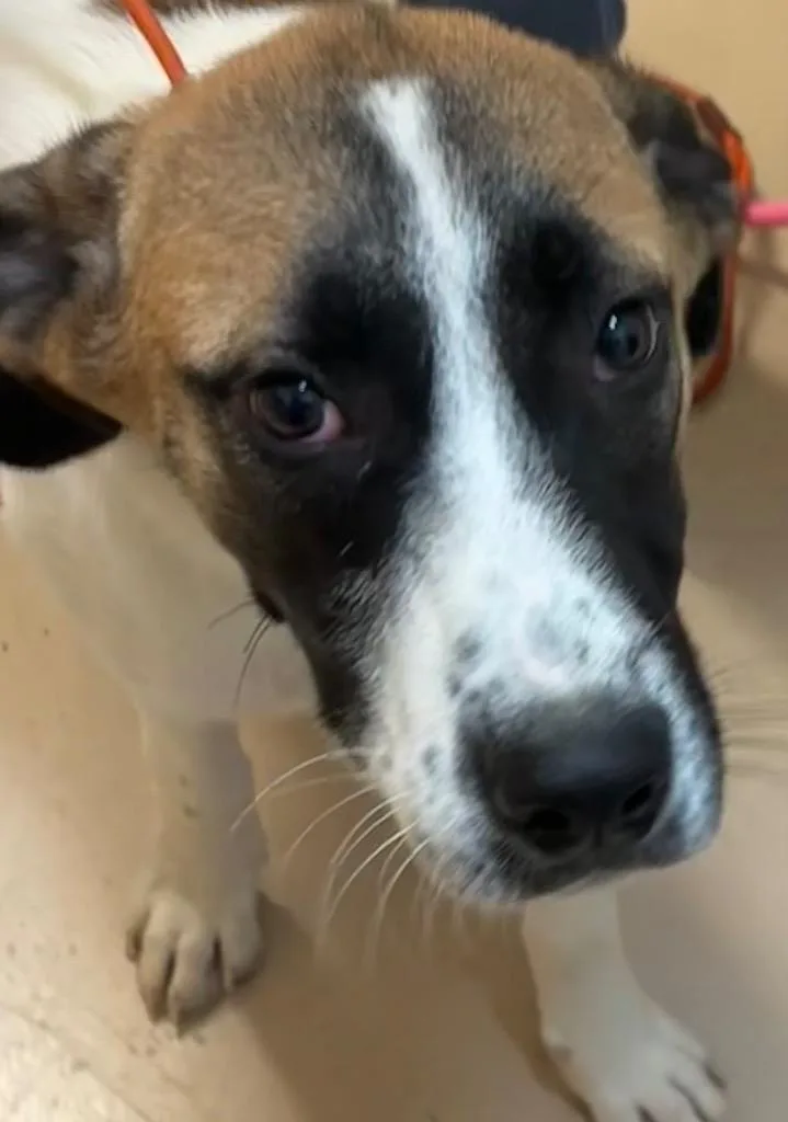Oakley May