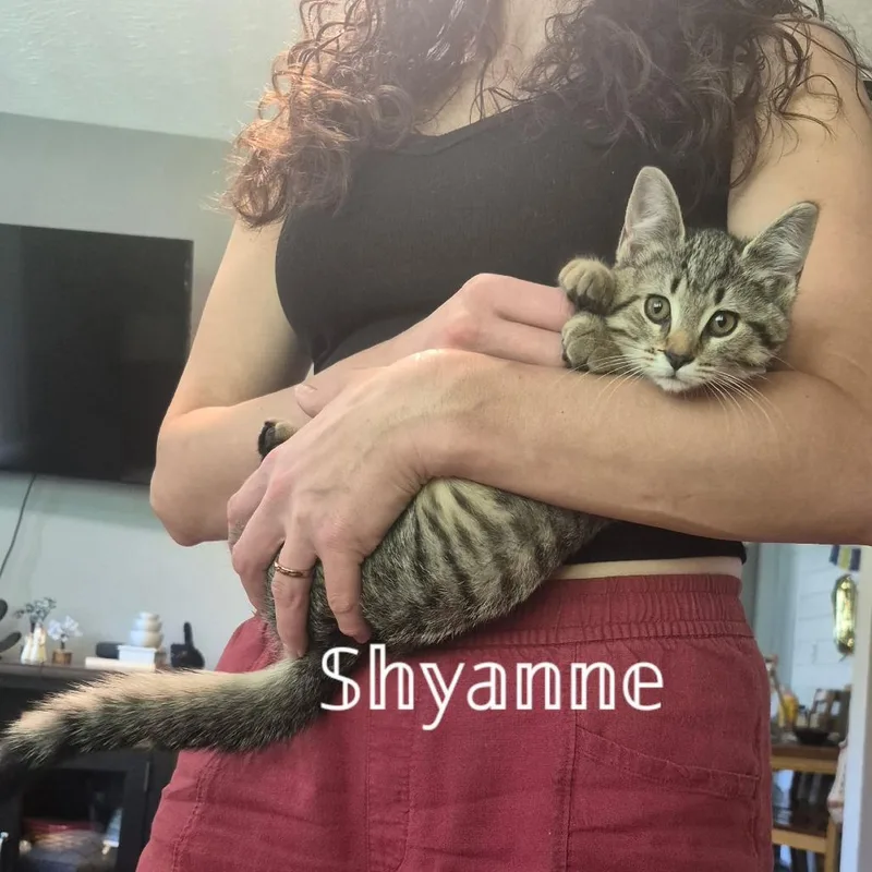 Shyanne thumbnail 2