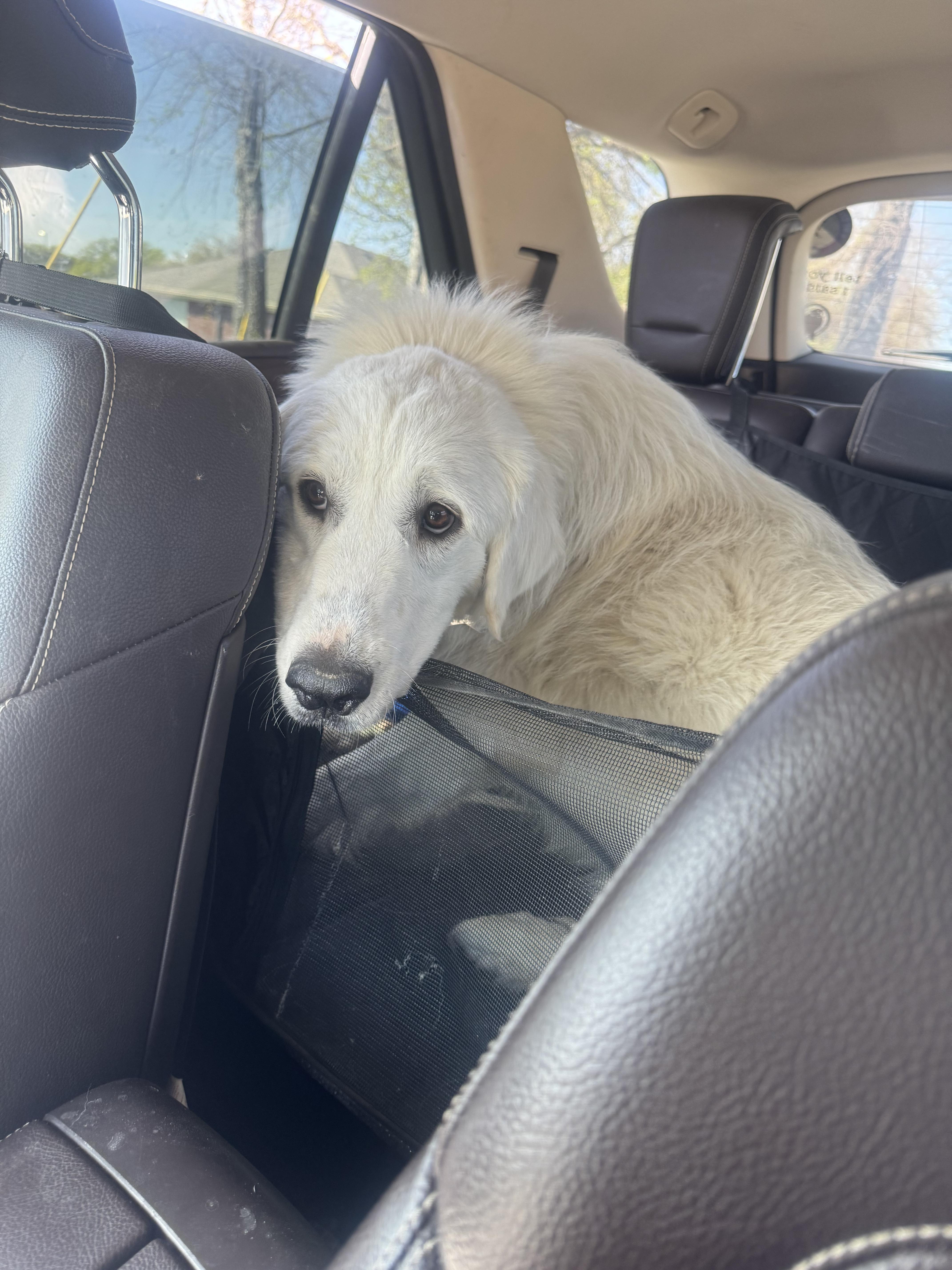 Rita Atx thumbnail 2