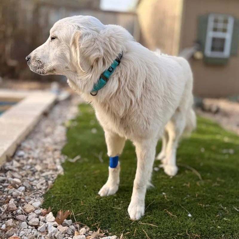 Rita Atx thumbnail 3