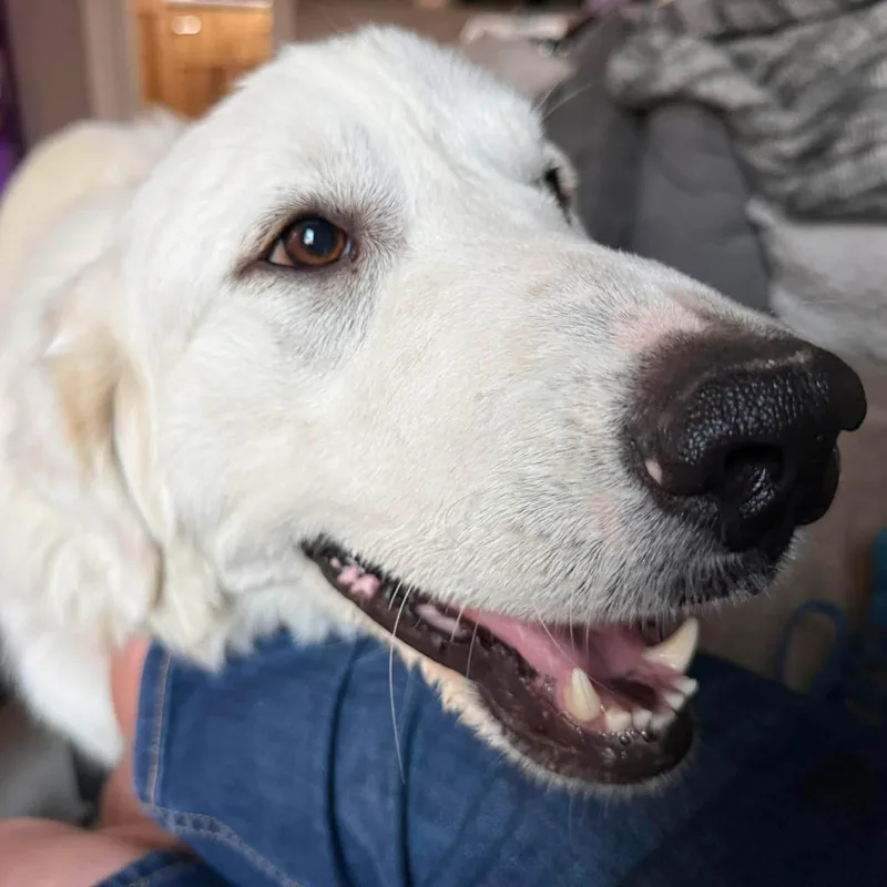 Rita Atx thumbnail 4