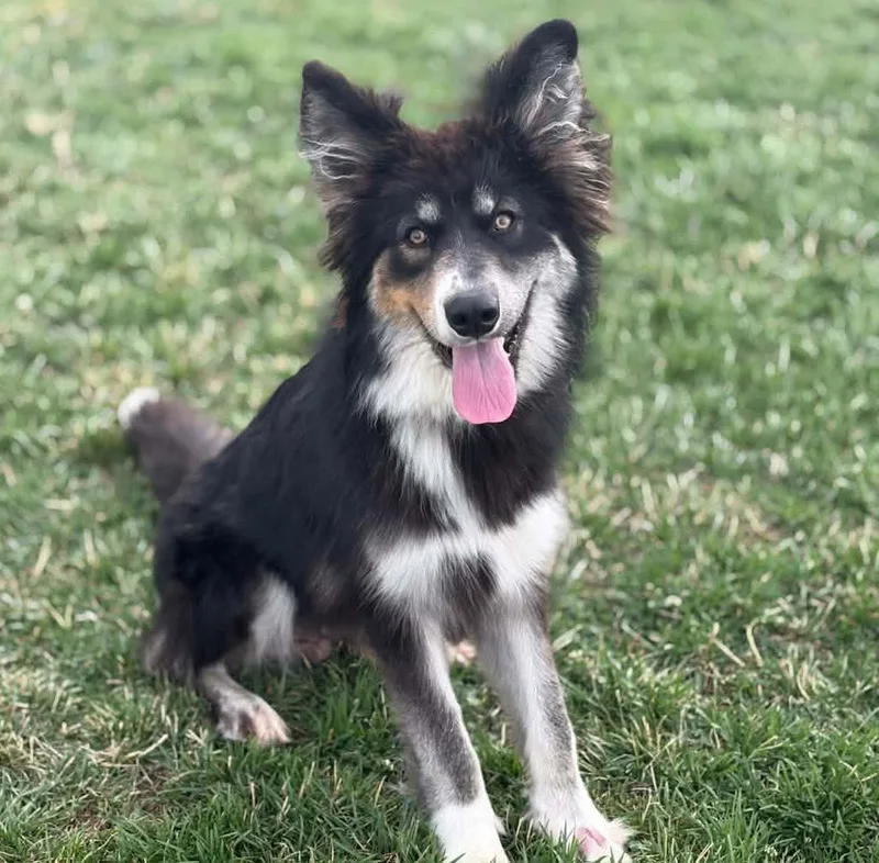 Max