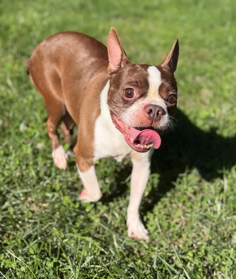 Zoe in KS thumbnail 2