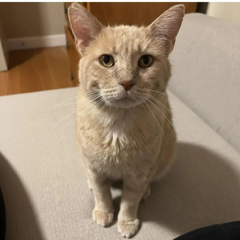 Mysterioc thumbnail 2