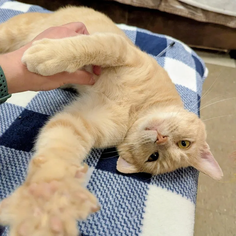 Mysterioc thumbnail 3