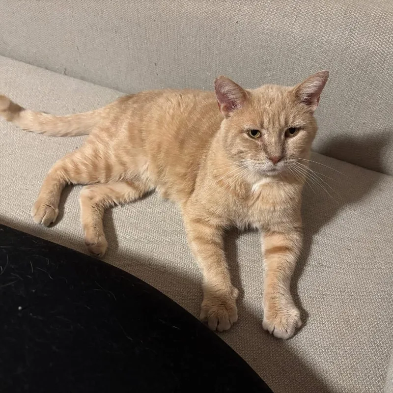 Mysterioc thumbnail 4