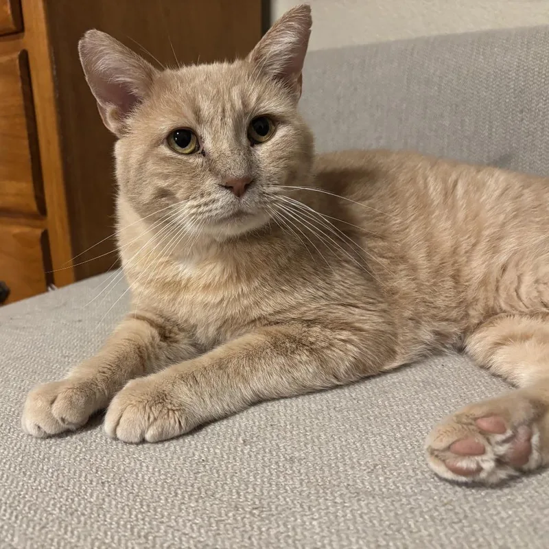 Mysterioc thumbnail 5