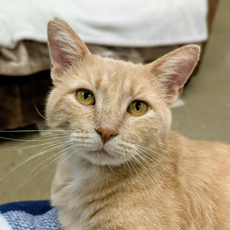 Mysterioc thumbnail 6