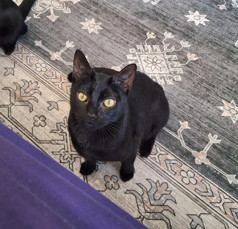 Bordeaux thumbnail 3