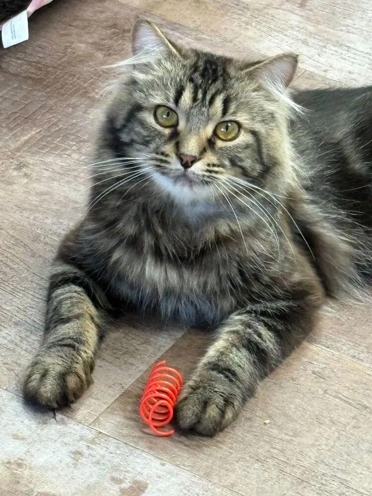 Salty Snack thumbnail 3