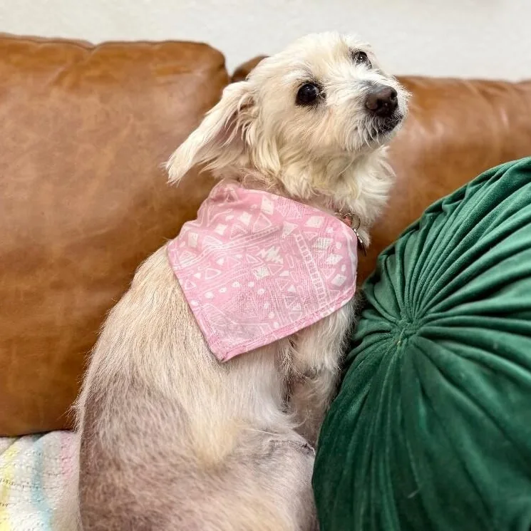 Bitsy Belle Cuddlebean thumbnail 2
