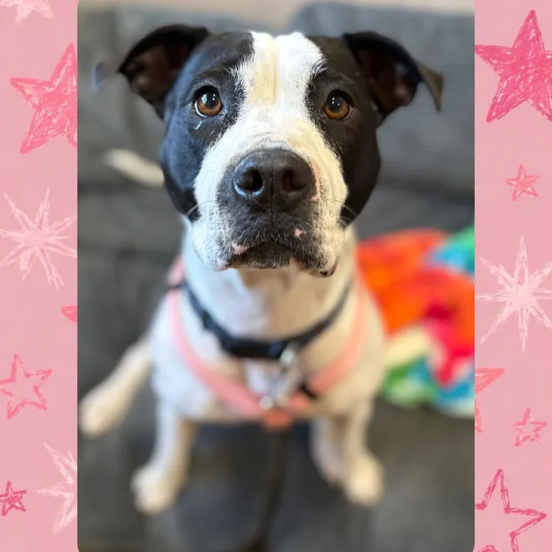 Zoey thumbnail 3