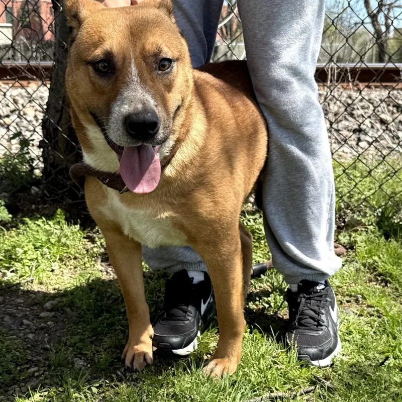 Polaroid P thumbnail 2