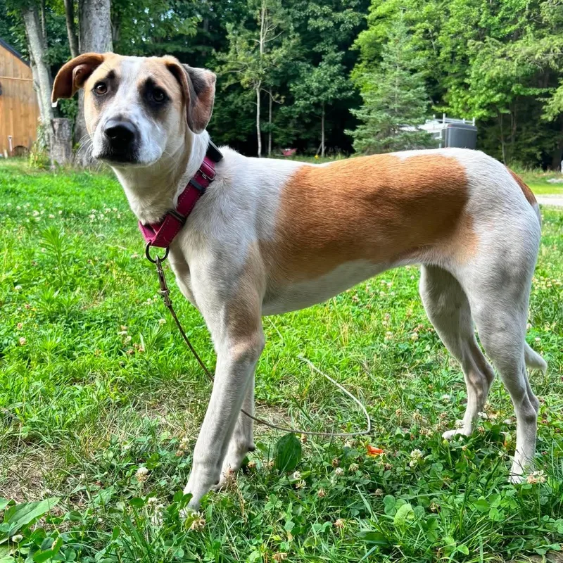 Abby