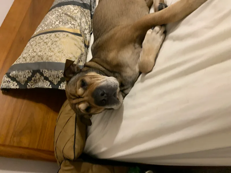 Big Head Fred thumbnail 3