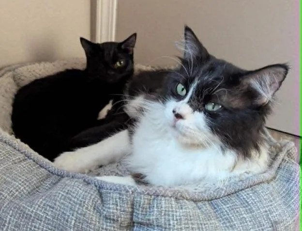 Terra And Sparrow