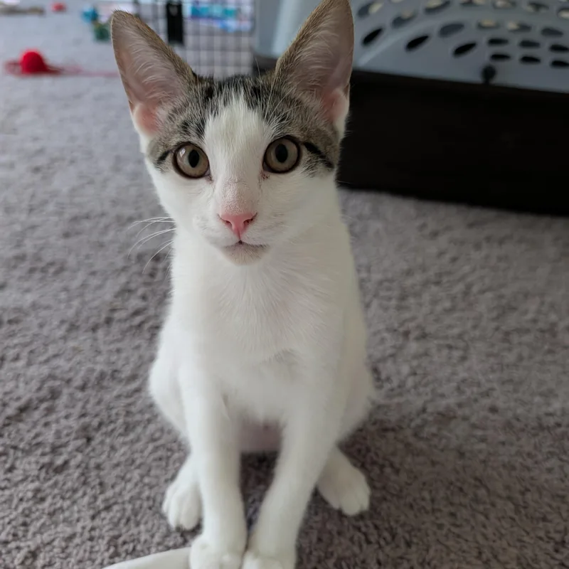 Baby Mia thumbnail 2