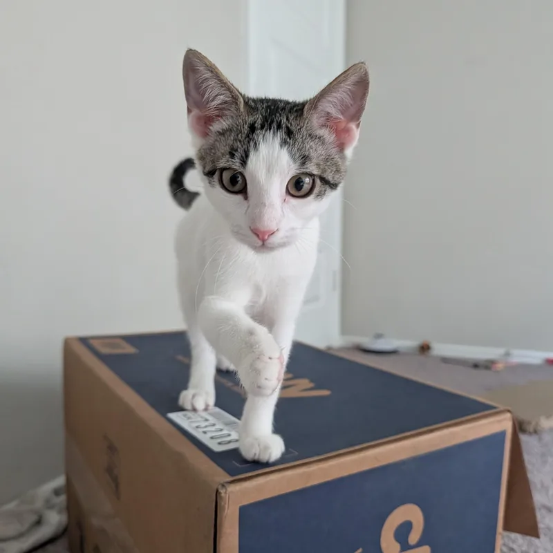 Baby Mia thumbnail 5