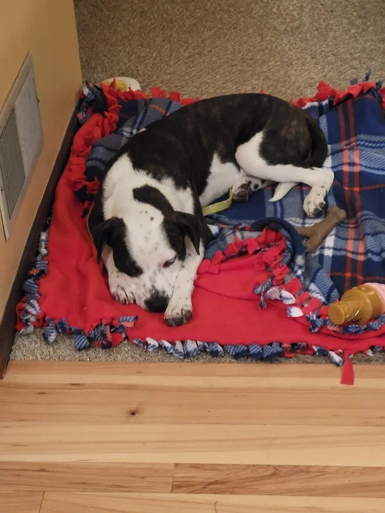 Line Butt thumbnail 2