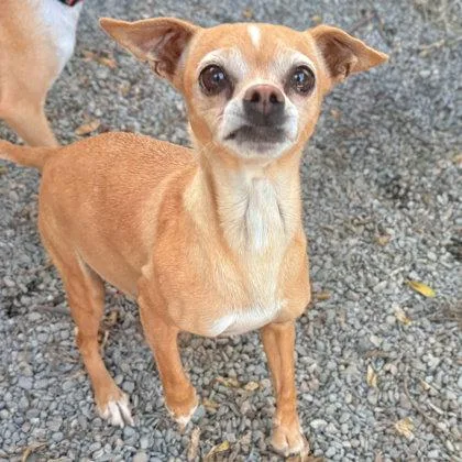 Margaret thumbnail 2