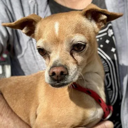 Margaret thumbnail 3