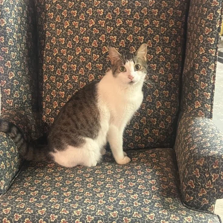 Valentina thumbnail 3