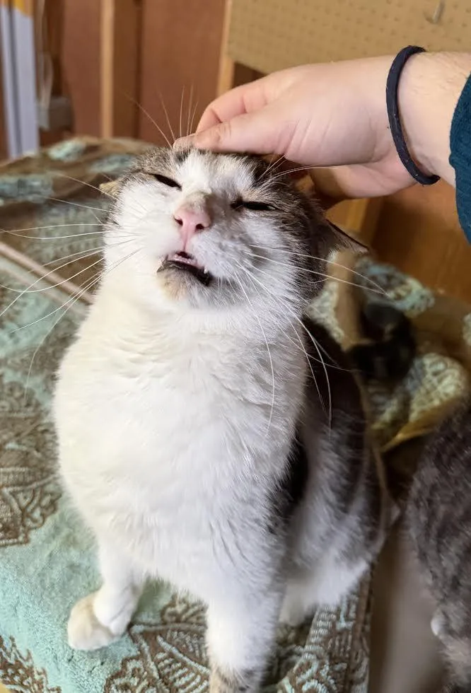 Valentina thumbnail 4