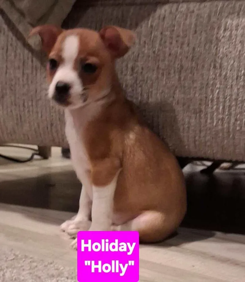 Hotel : Holiday thumbnail 3